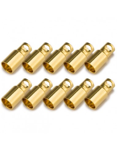 Conector PK 6mm hembra (10 pcs)