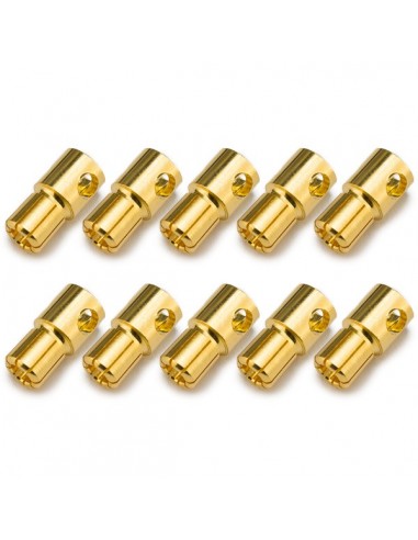 Conector PK 6mm macho (10 pcs)