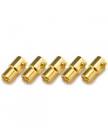 Conector PK 6mm macho (5 pcs)