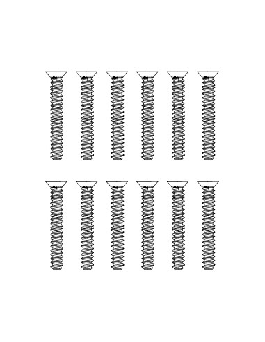 Tornillos avellanados (12)