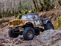 Coches Crawler