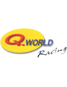 Q-world